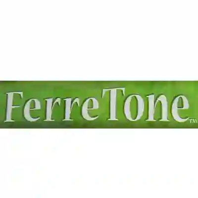 Image Alternative Text
