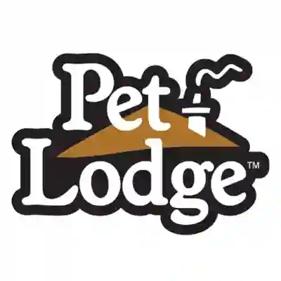 Image Alternative Text