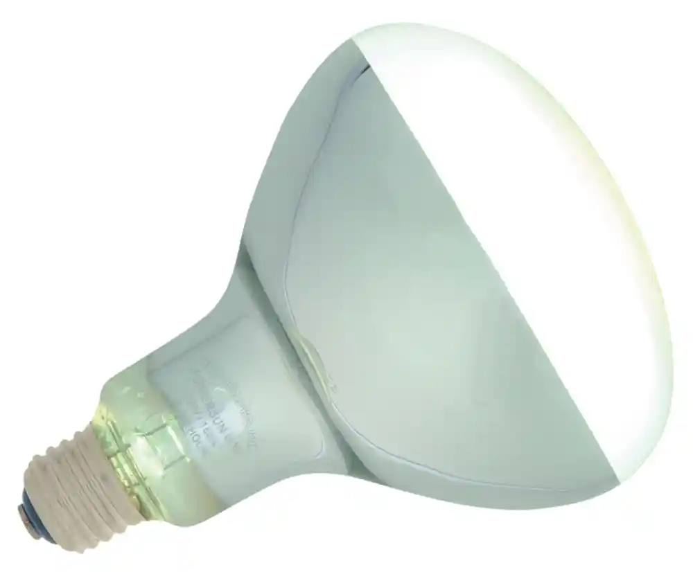 Zoomed Powersun Uv 160 Watt Bulb