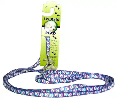 Patterned Dog Leash With E-z Snap, Light Blue Paw, 3/8" X 06'