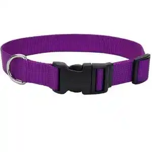 Adjustable Dog Collar With Plastic Buckle, Purple, 5/8" X 10"-14"