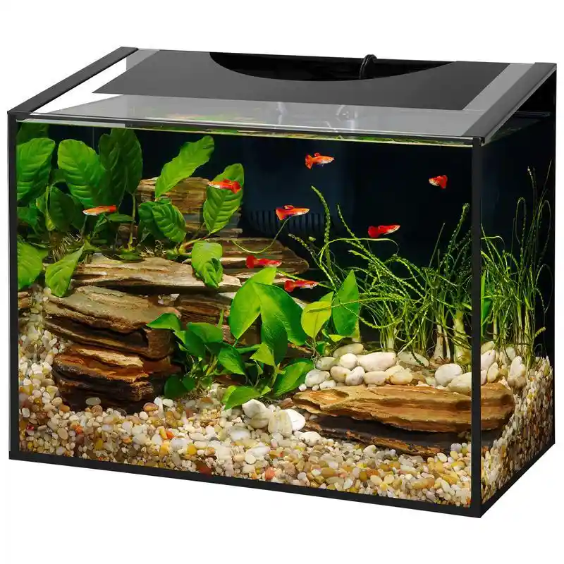 10 Ga. Aqueon Ascent Frameless Led Aquarium Kit - Black