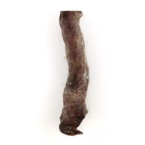 Raw Bar Freeze-dried Bully Stick Treat For Dogs 1 Stick