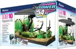 Led Pre-price Box Kit 10g