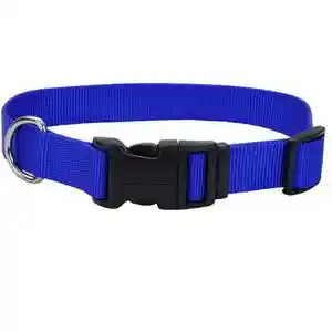 Adjustable Dog Collar With Plastic Buckle, Blue, 1" X 18" - 26"