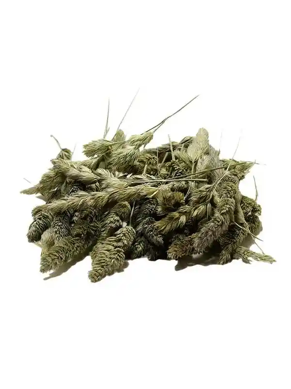 Rnd Lake Orchard Seed Head 10g
