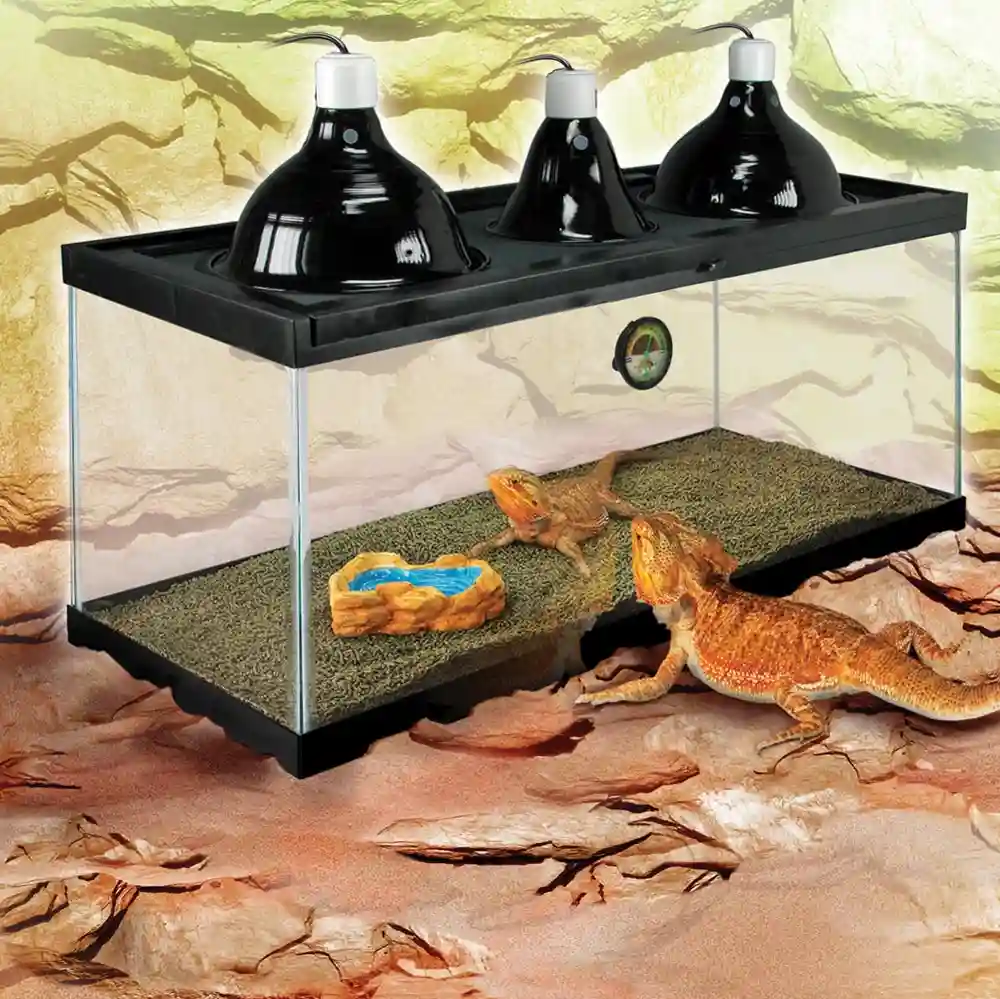 Zilla Kit Bearded Dragon Deluxe 20 L
