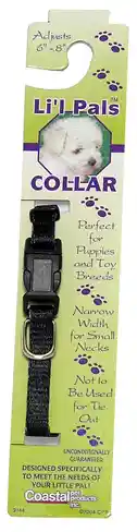Adjustable Dog Collar, Black, 3/8" X 06"-08"