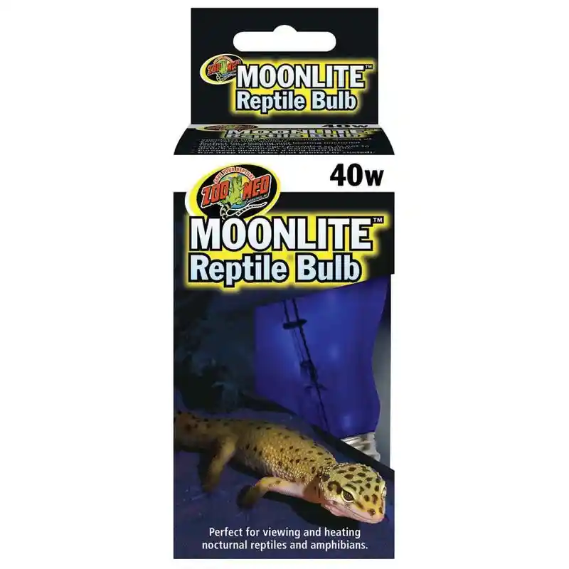 Zoomed Moonlight Bulb 40 Watt