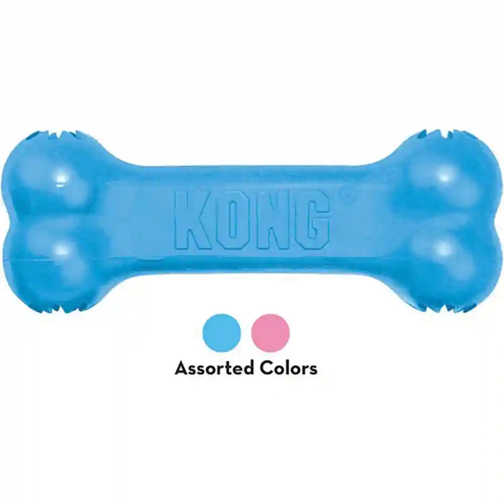 Kong Puppy Goodie Bone Small