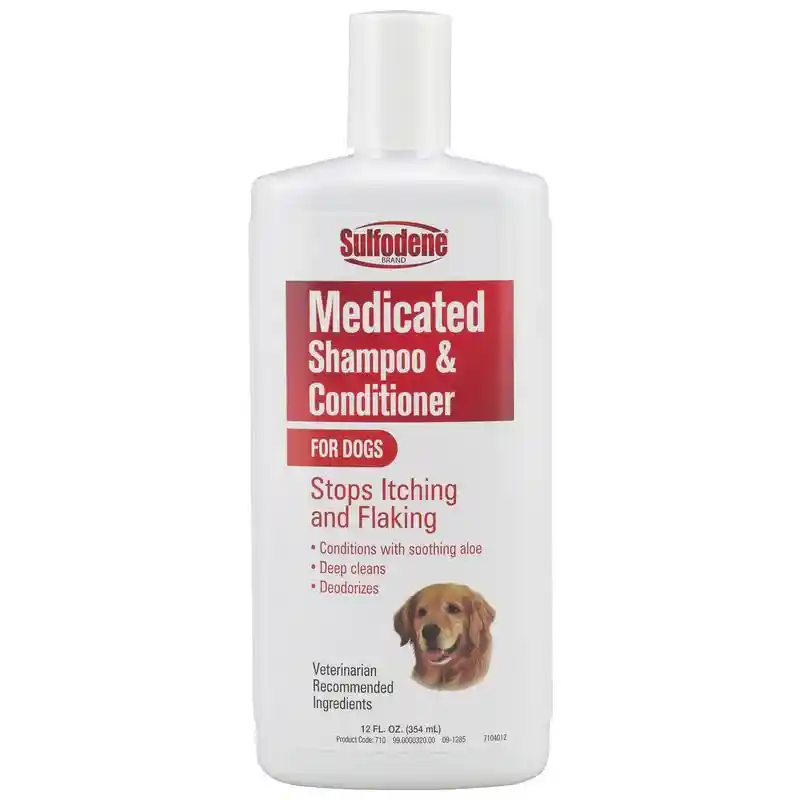 Sulfodene Medicated Shampoo 12 Oz
