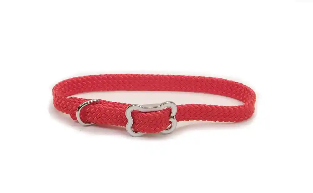 Dog Collar With Bone Buckle, Red, 3/8" X 10"