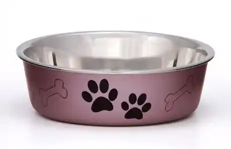 Bella Bowl Grape X-large