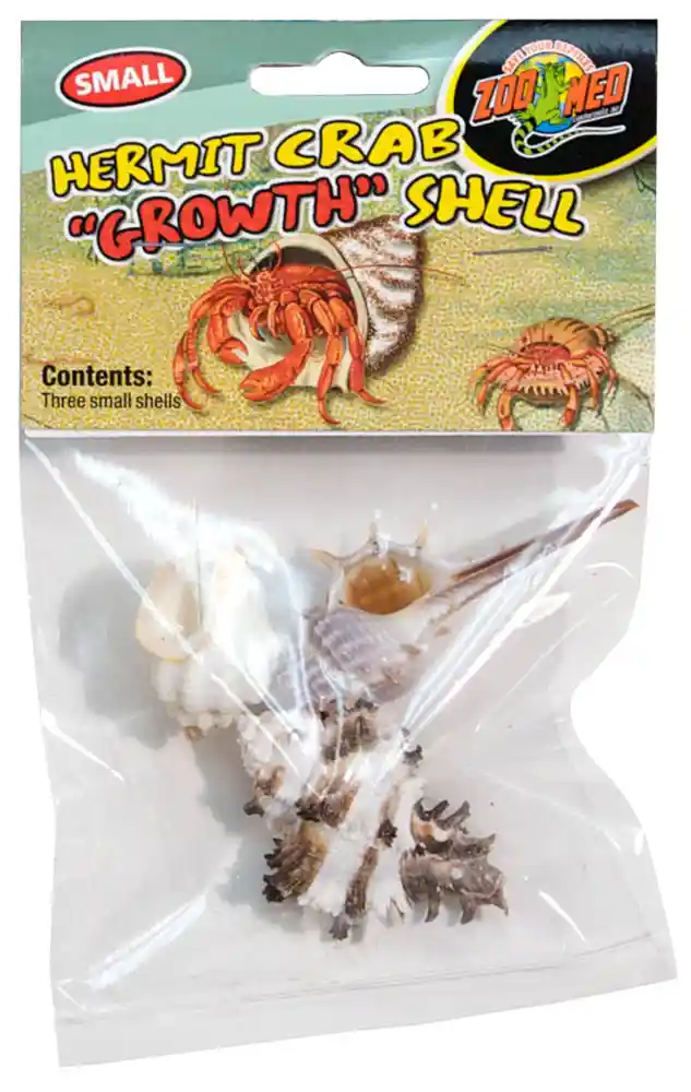 Zoomed Hermit Crab Shell Small 2 Pack