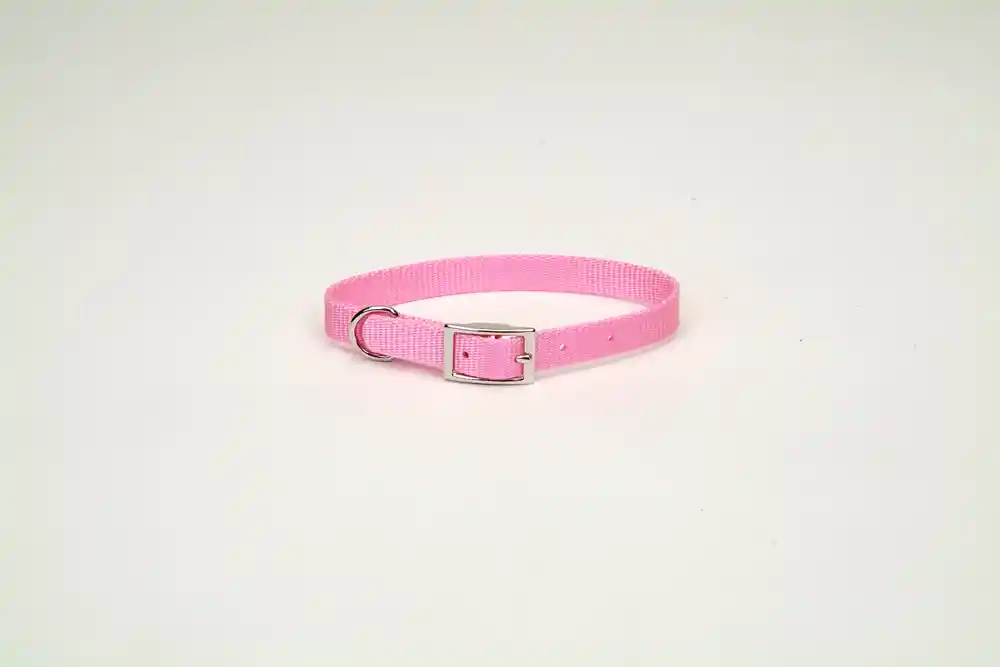 Single-ply Dog Collar, Pink Bright, 3/4" X 18"