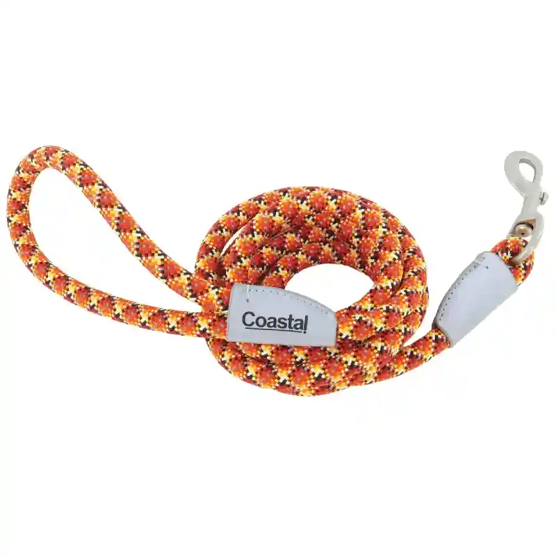 Pro Active Woven Reflective Rope Leash Burning Blue