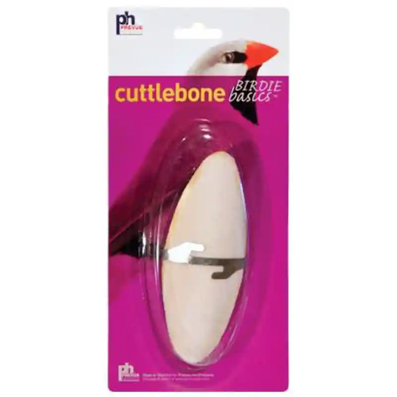 Ph Cuttlebone Medium 6-8" Single