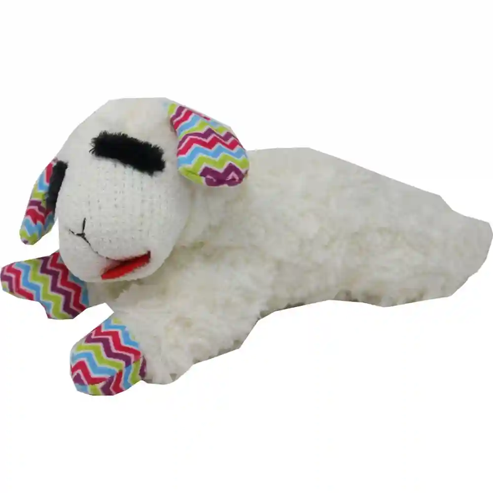 Springtime Zig-zag Lambchop