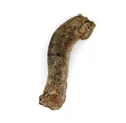 Raw Bar Freeze-dried Duck Neck Treat For Dogs 1 Duck Neck