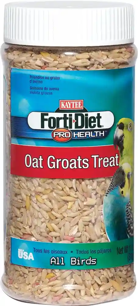 Kaytee Forti Diet Oat Groats Treat Jar 11 Oz
