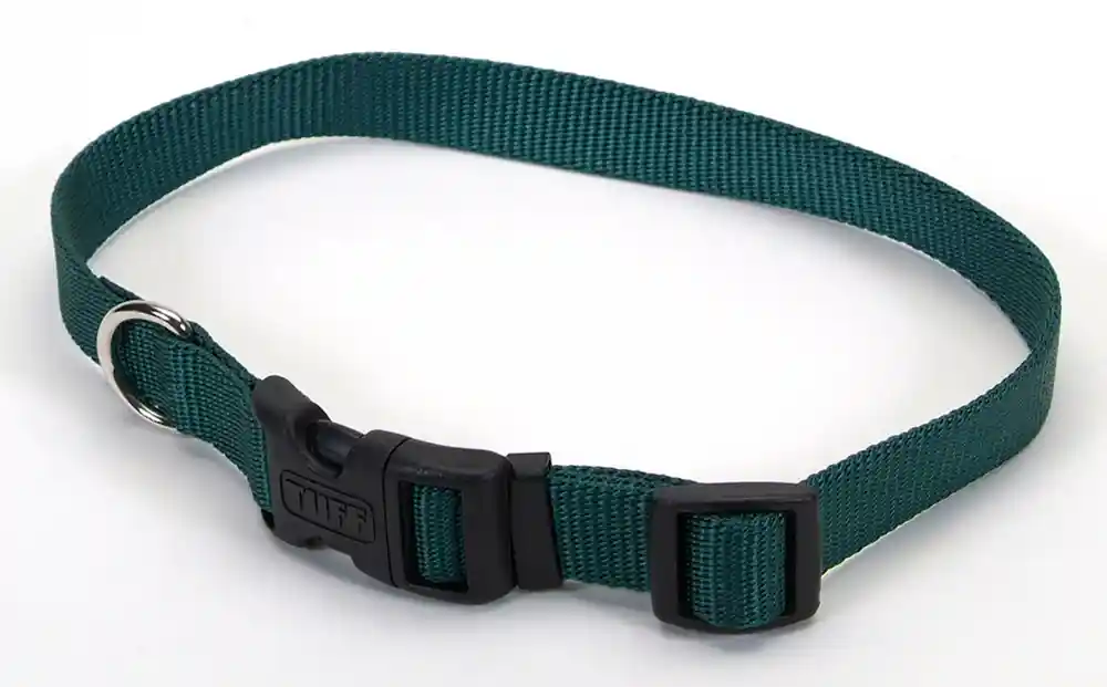 Adjustable Dog Collar With Plastic Buckle, Hunter, 3/4" X 14"-20"