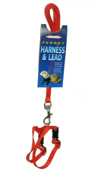 Ferret Harness & Lead-red