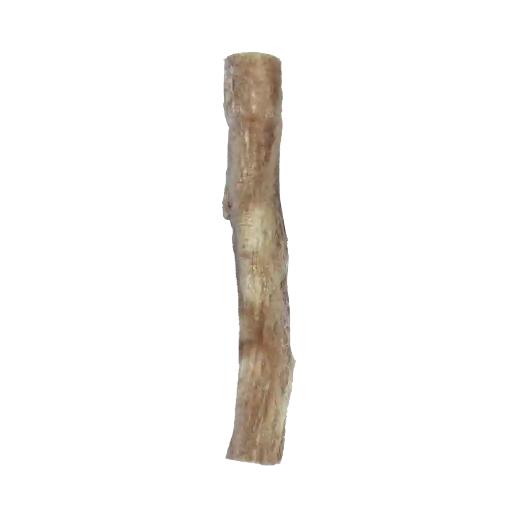 Raw Bar Freeze-dried Bully Stick Treat For Dogs 1 Stick