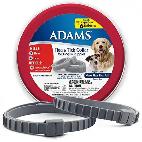 Adams+ F&t Collar Dog 20