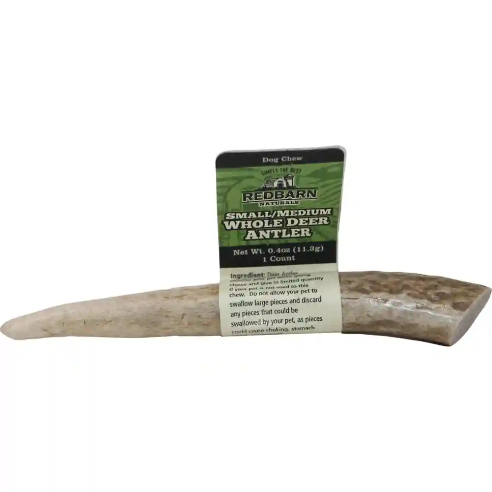 Redbarn Antler Deer Whole Sm /