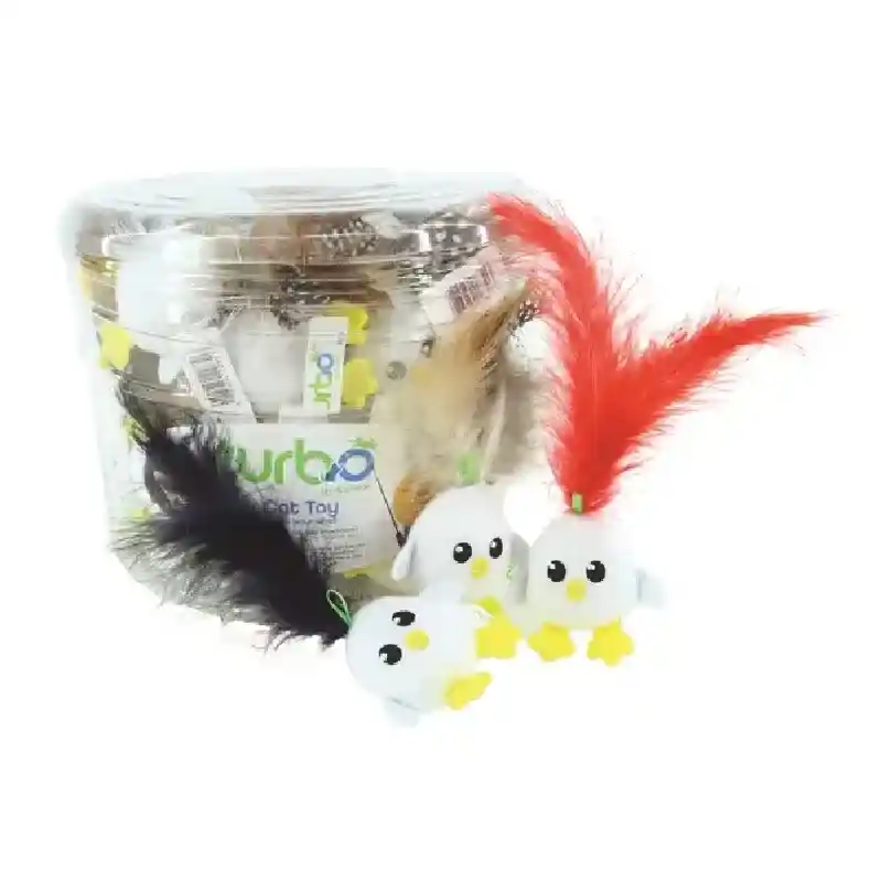 Chicken With Feather