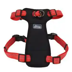 Brights Reflective Front Connect Harness Canyon Xsmall 5/8 X 12-18-in