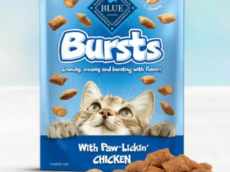Bl Bursts Filled Chic Cat 2z