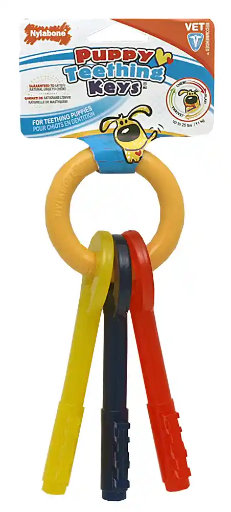 Puppy Teething Chew Keys Small