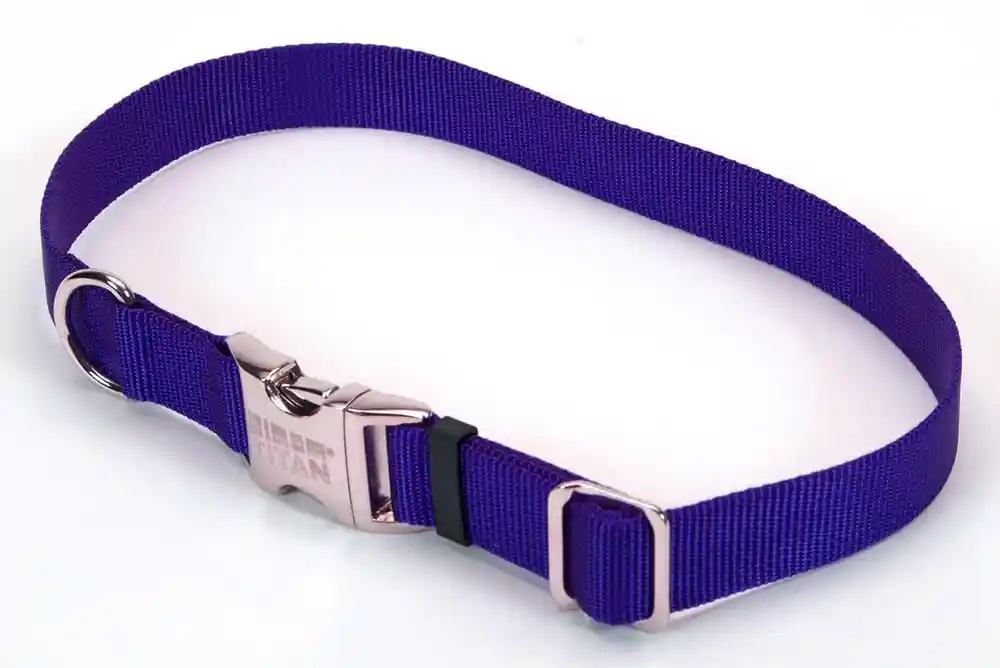 Adjustable Dog Collar With Metal Buckle, Blue, 3/4" X 14" - 20"