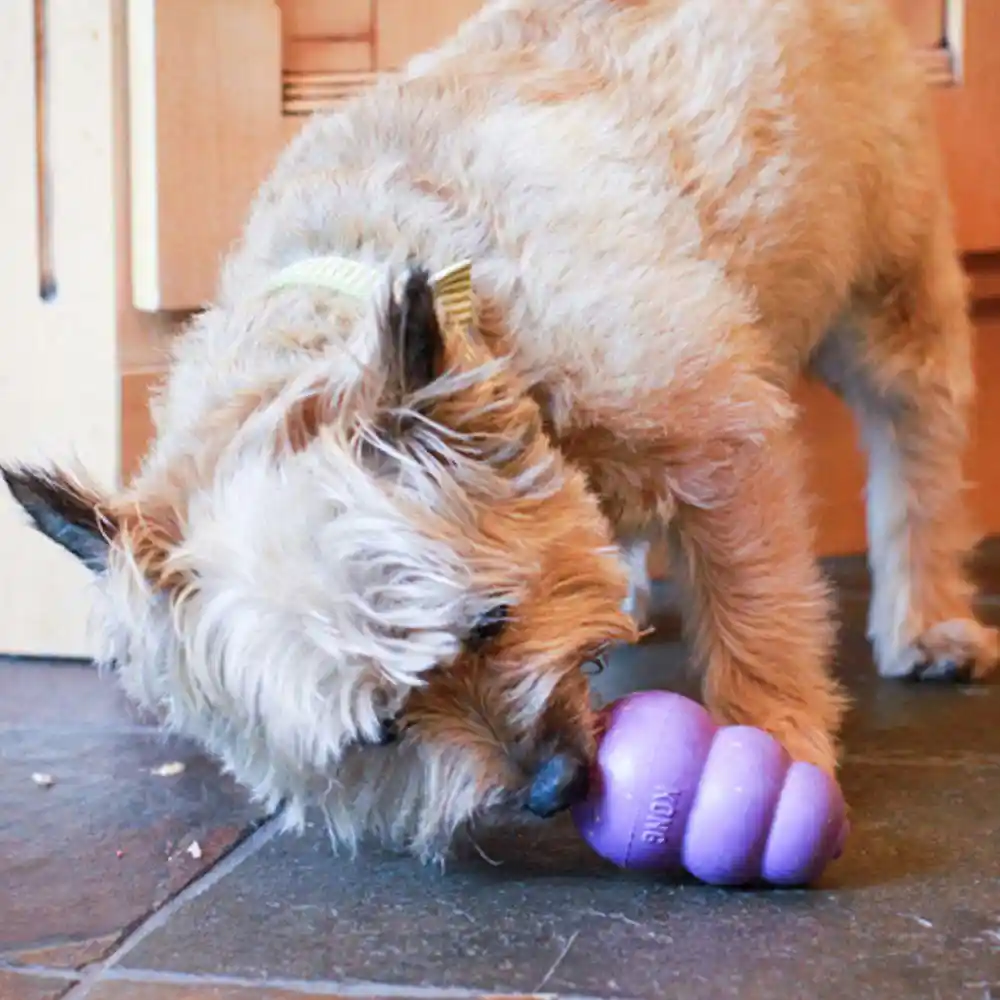 Classic Senior Dog Toy Small