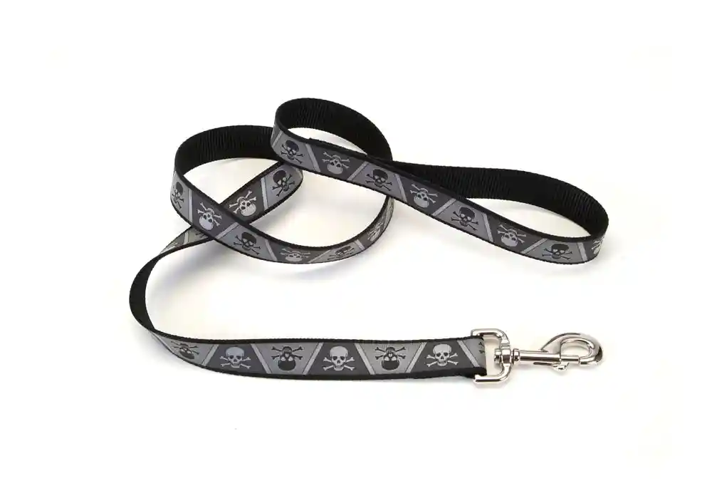 Reflective Dog Leash, Skulls And Crossbones, 1" X 06'