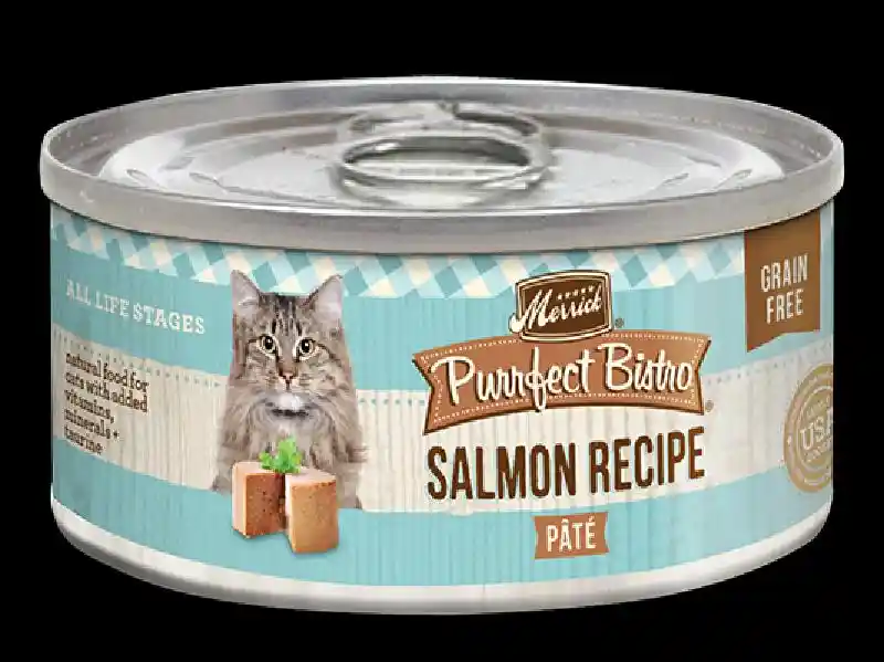 Purrfect Bistro Grain-free Salmon Pate Canned Cat Food 3-oz