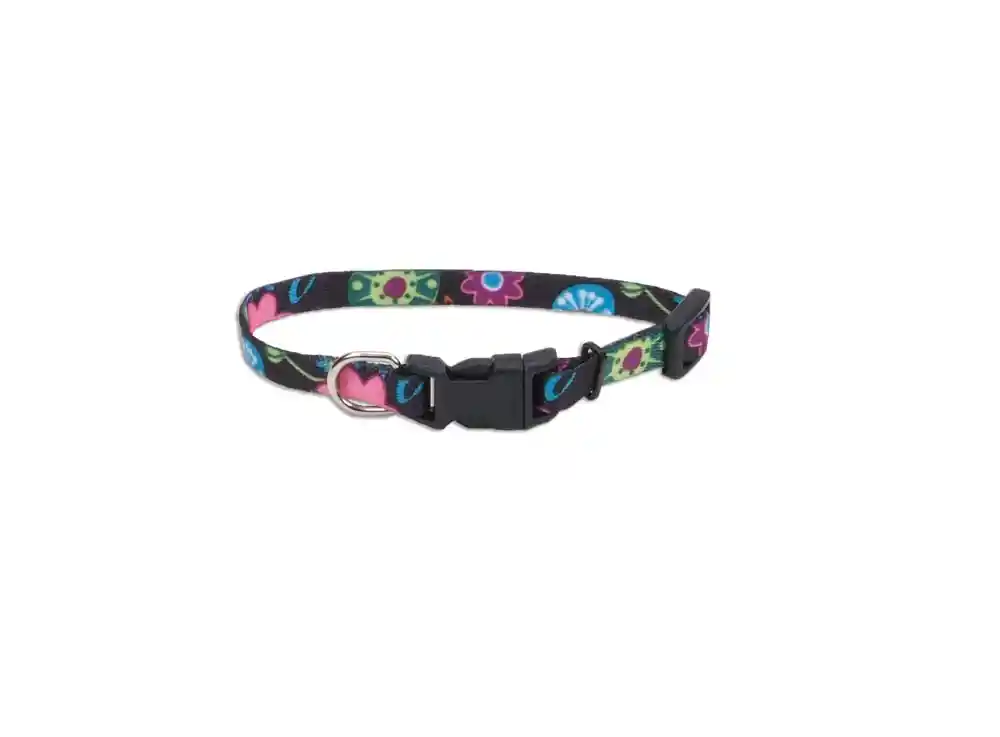 Adjustable Patterned Dog Collar, Wildflower, 3/8" X 06"-08"