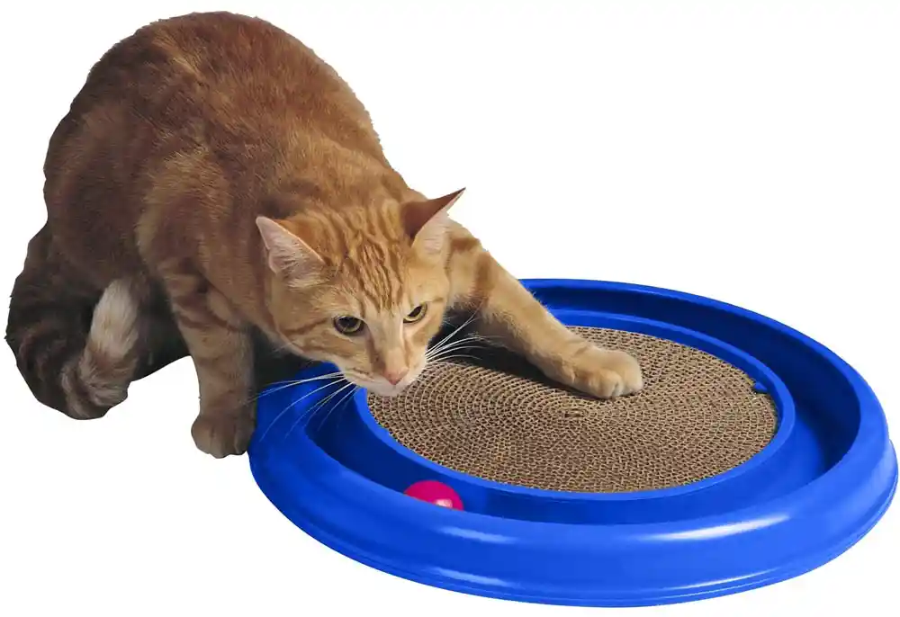 Turbo Scratcher Cat Toy, Assorted, 1 Pack