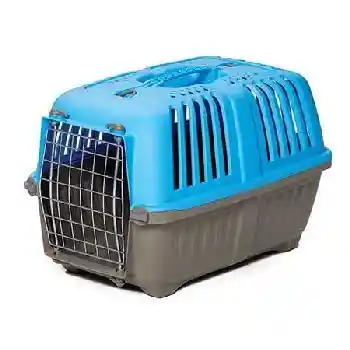 1419spb Spree Blu Pet Carr 19"