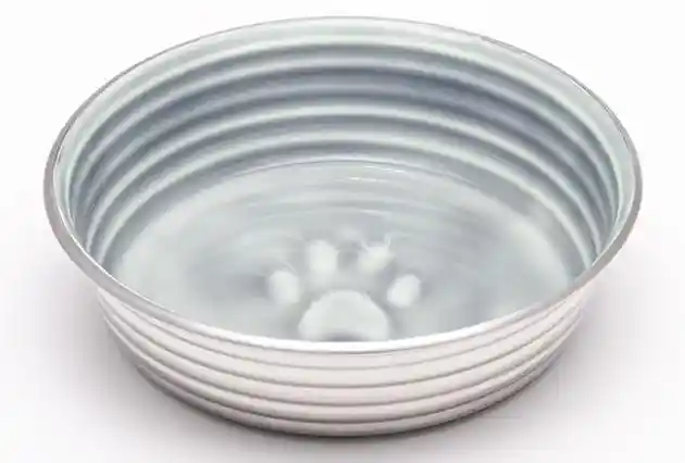 Le Bol Dog Bowl – Parisian Gray Small - 5.50" - 16-oz.