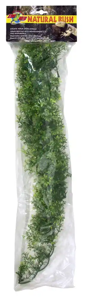 Natural Bush Australian Maple Large