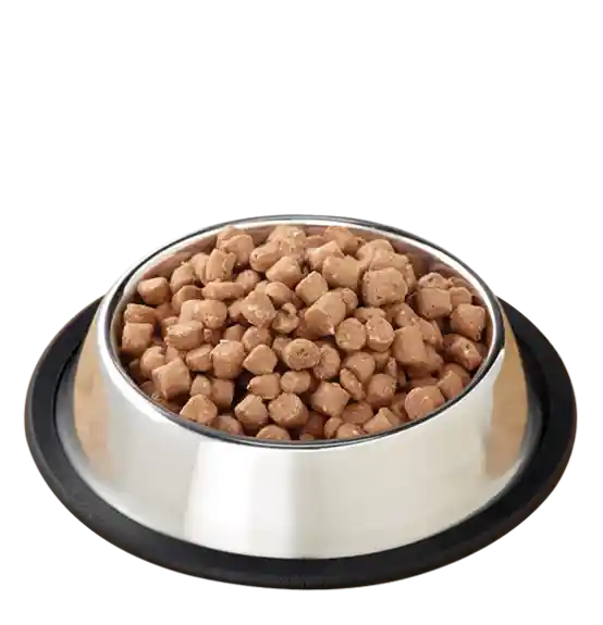 Pronto Raw Beef Frozen Dog Food 4-lb