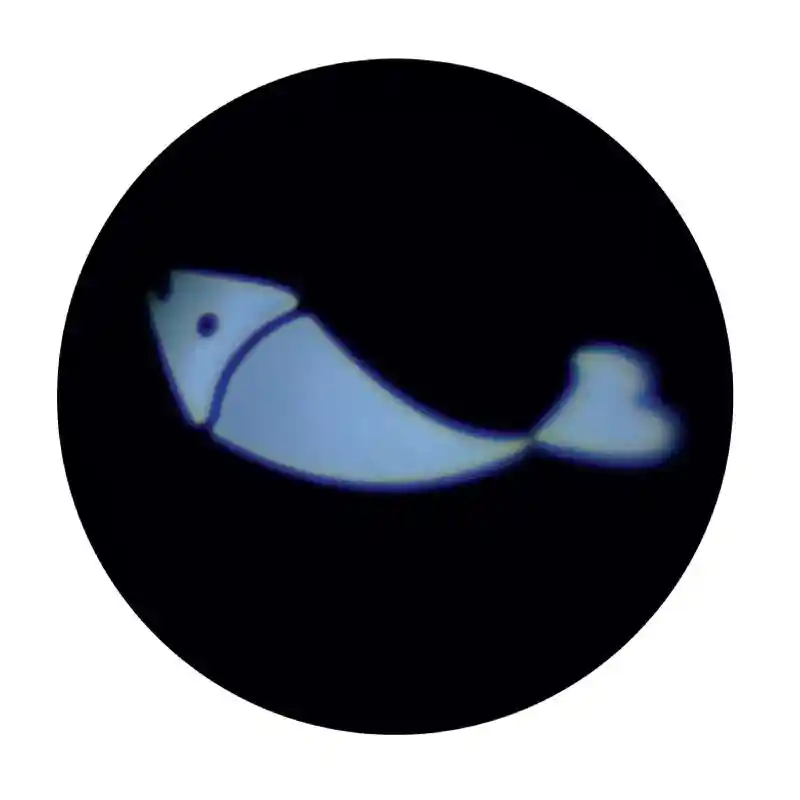 Turbo Led Pointer Wand, Fish Light, One Size