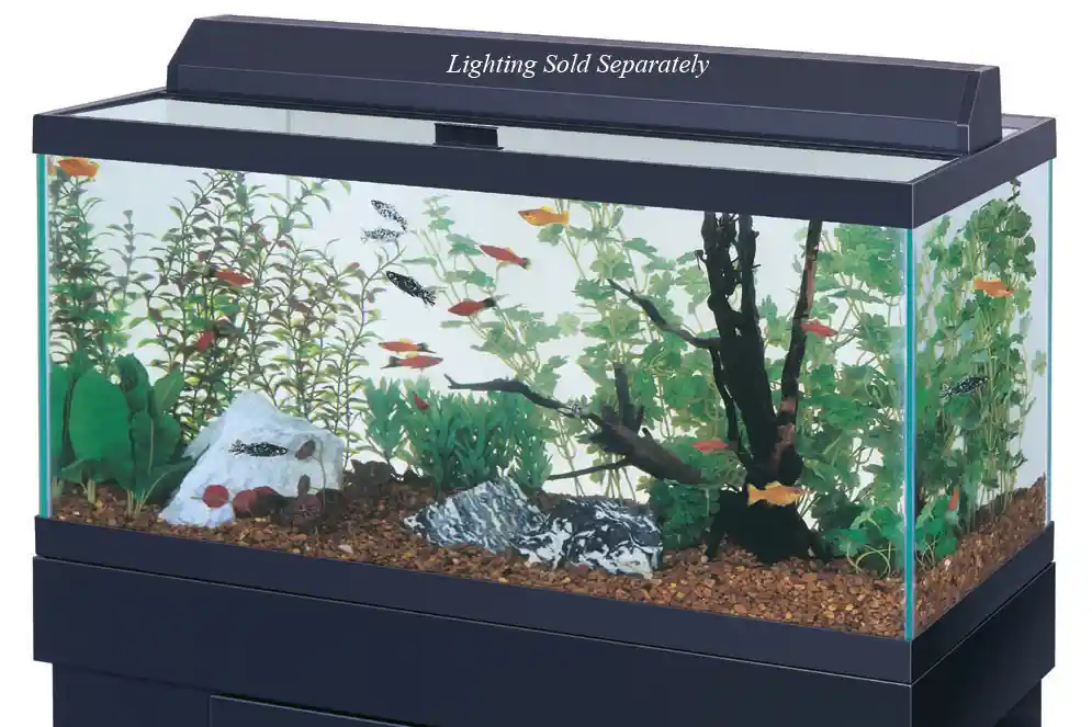 30 Gallon Black Trim Aquarium 36x12x16