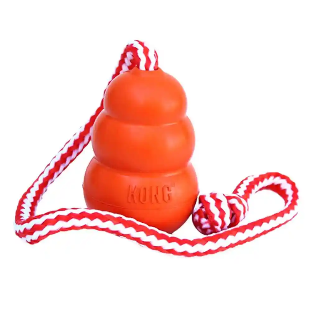 Kong Aqua Kong Floating Toy Large 4.5"