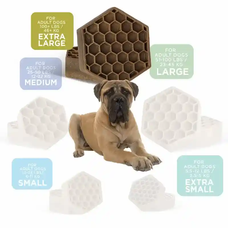 Yummy Combs Xl Hexi 8ct 4cs