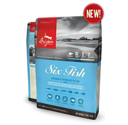 Dry Cat Food, Six Fish, Biologically Appropriate & Grain Free 12-oz