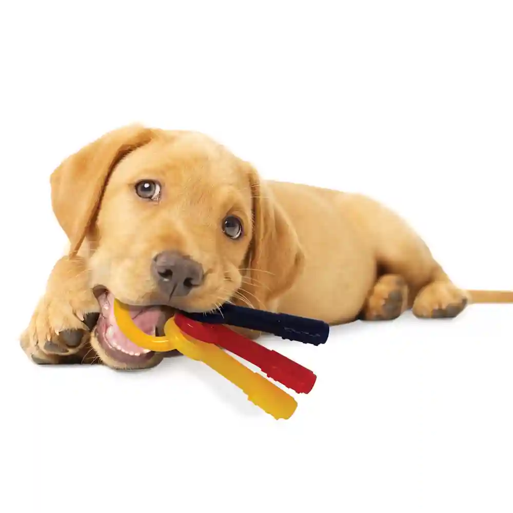 Puppy Teething Chew Keys Large
