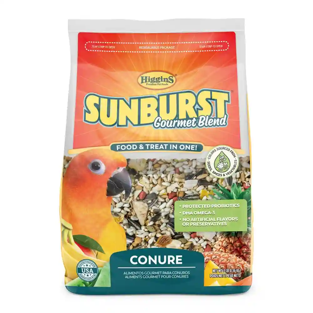 Higgins Sunburst Conure 3 Lbs